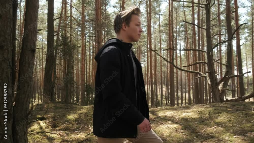 A man strolls through a sunny summer forest on a beautiful day. A blond man strolling through the woods. High quality 4k footage