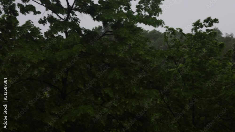 heavy rain and strong wind heavy rain and strong wind