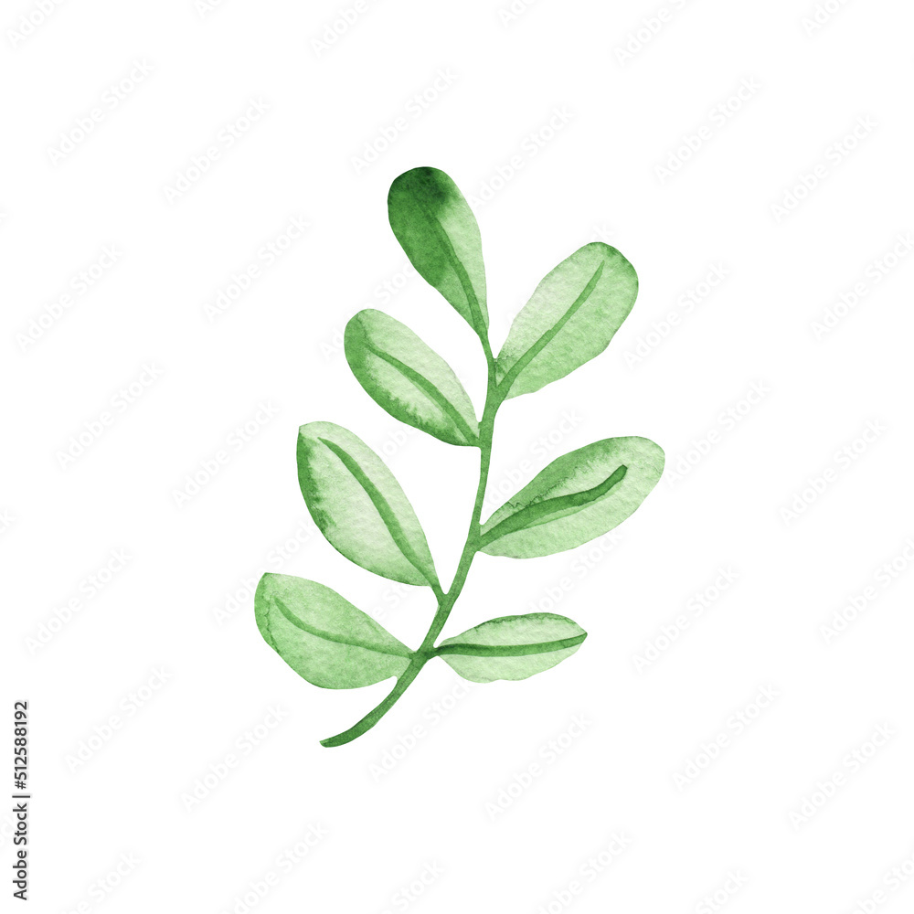 Watercolor hand drawn green leaves. Botanical textured leaves isolated on white background. Good for wrapping paper, pattern elements, summer design etc. Watercolor hand drawn green leaves. Botanical textured leaves isolated on white background. Good for wrapping paper, pattern elements, summer design etc.