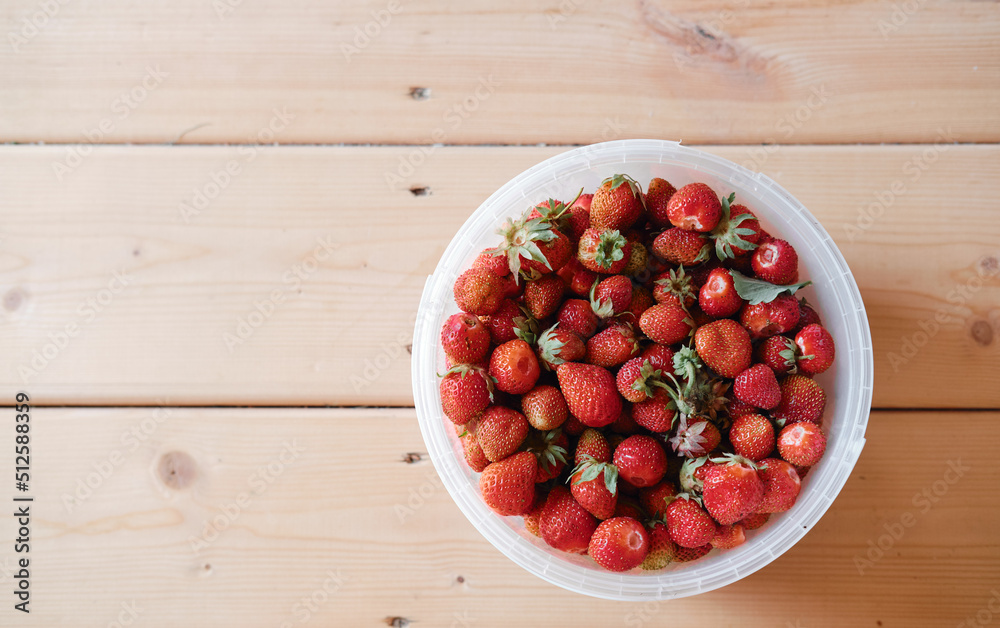a bucket of strawberries on a wooden floor, top view. victoria harvest in a bucket a bucket of strawberries on a wooden floor, top view. victoria harvest in a bucket