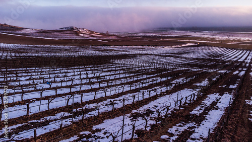 Viñedos y meseta castellano leonesa nevada