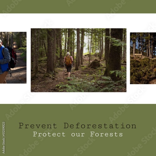 Collage of caucasian explorers hiking in woodland and prevent deforestation, protect our forests