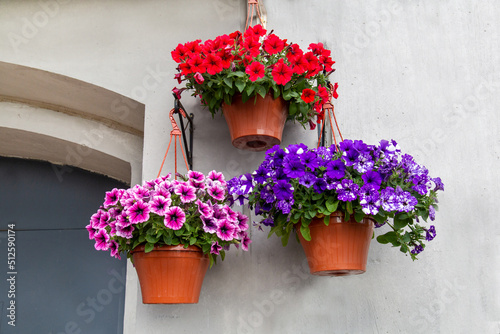 Hanging planters with red pink lilac petunia flowers on the facade of the house building. Landscaping landscaping of cities.