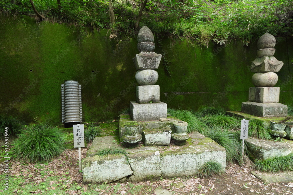 長学寺　七日市藩3代藩主前田利広(鶴性院)の墓　群馬県　富岡市