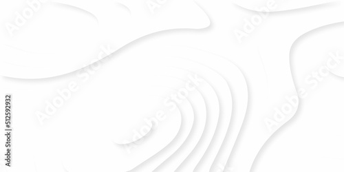 Luxury paper cut background, Abstract decoration, white pattern, halftone gradients, 3d Vector illustration, topographic canyon map light relief texture, curved layers and shadow.