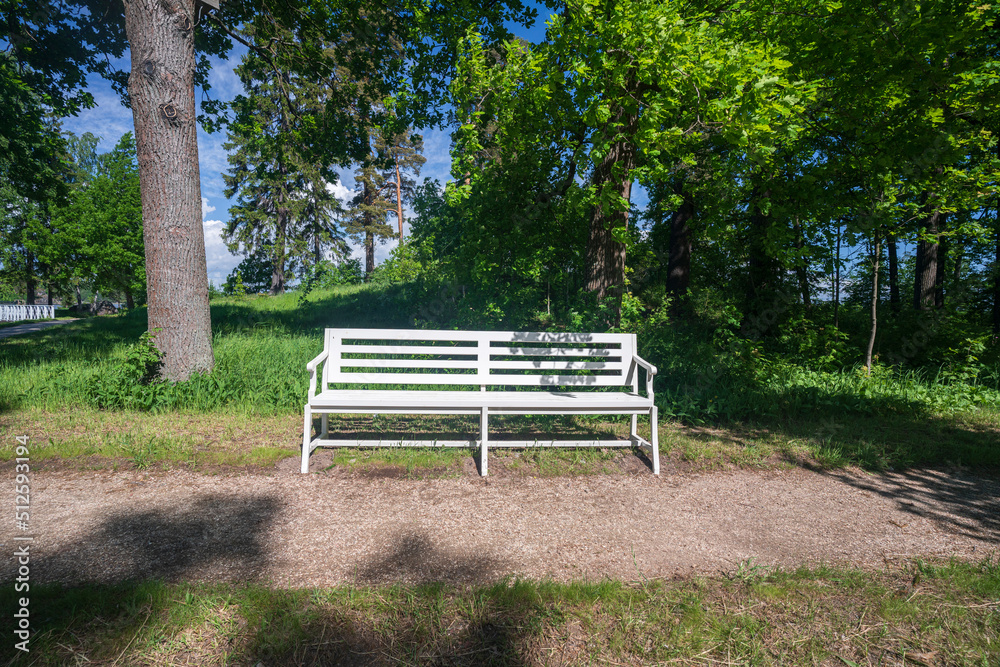 White bench in a park or forest. High quality photo