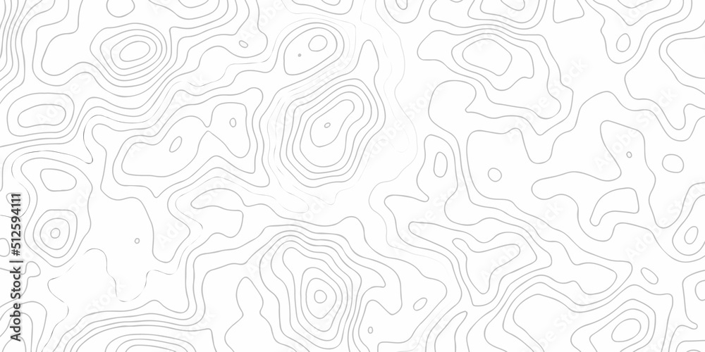 Topographic map. Geographic mountain relief. Abstract lines background. Contour maps. Vector illustration, Topo contour map on white background, Topographic contour lines vector map seamless pattern. 