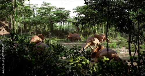 A herd of Triceratops peacefully grazing in a jungle meadow. Jurassic dinosaurs. 3d rendering photo