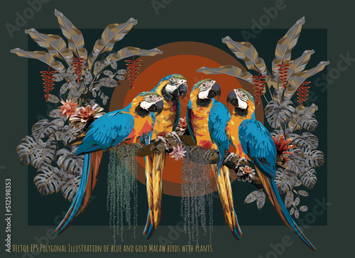 Vector EPS Polygonal Illustration of blue and gold Macaw birds with plants