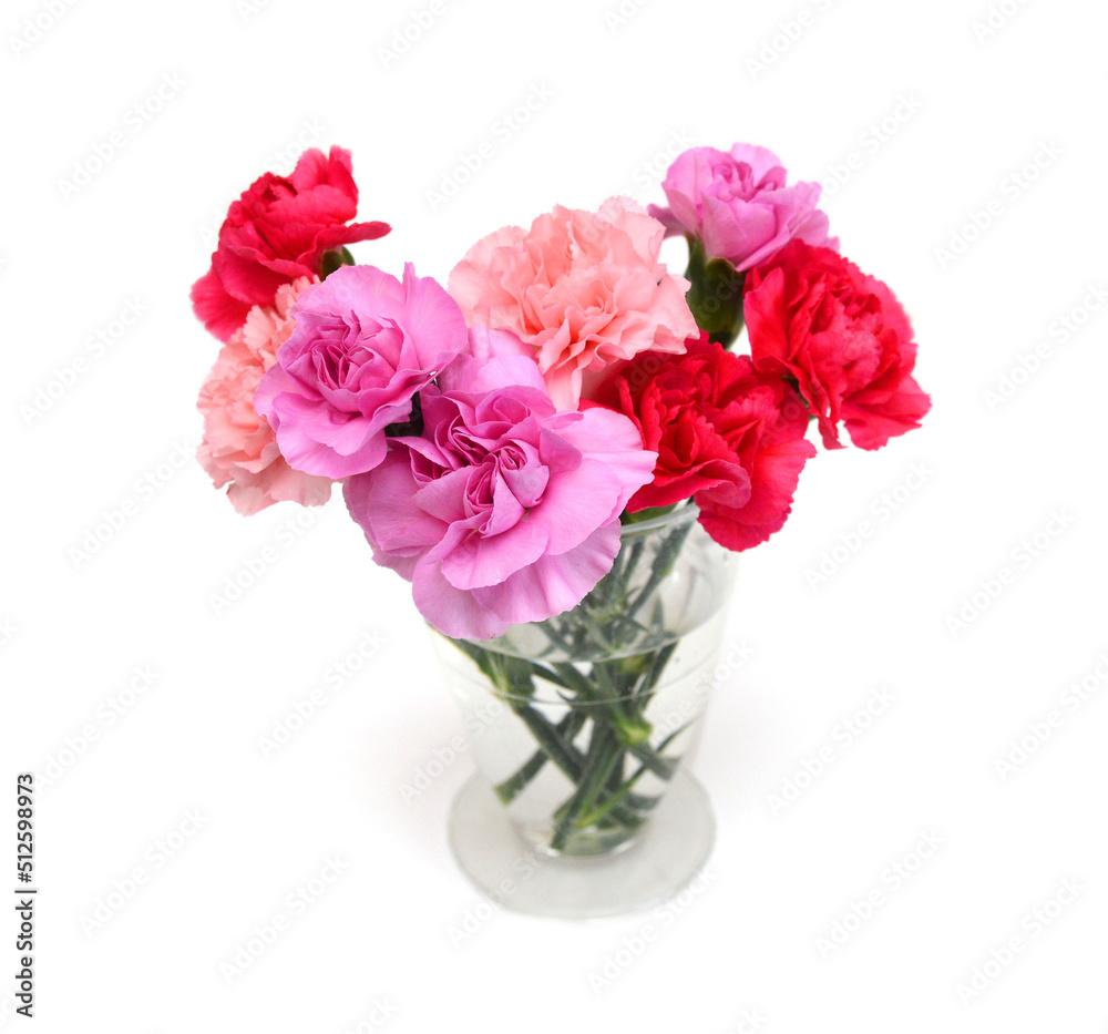 Stack Carnation flowers on white background Stack Carnation flowers on white background