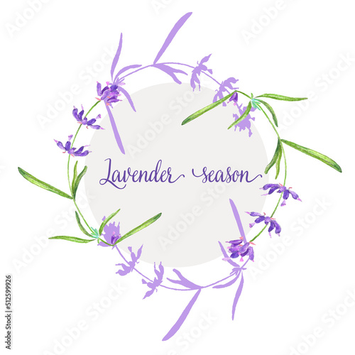Lavander flower in a watercolor style isolated. Vector illustration