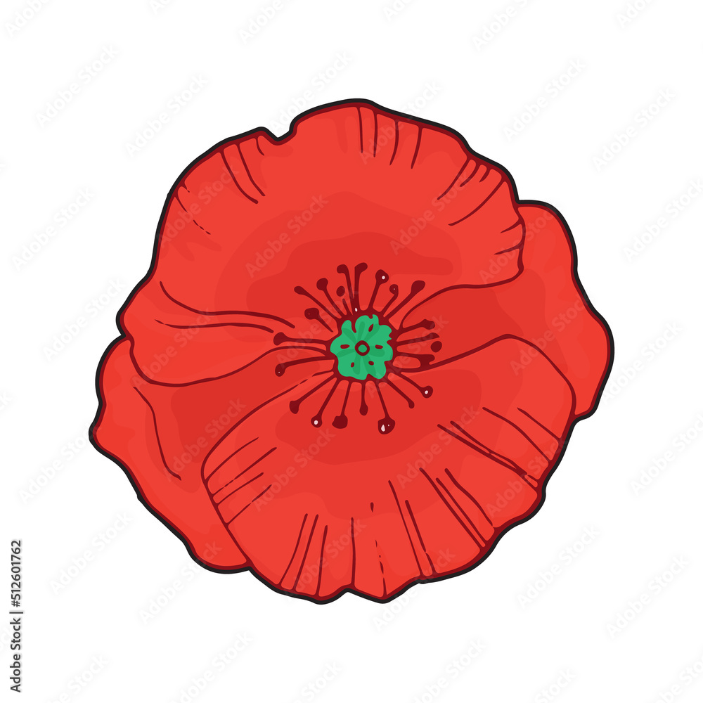 bright single red poppy flower isolated on white ,top view, vector doodle bright single red poppy flower isolated on white ,top view, vector doodle