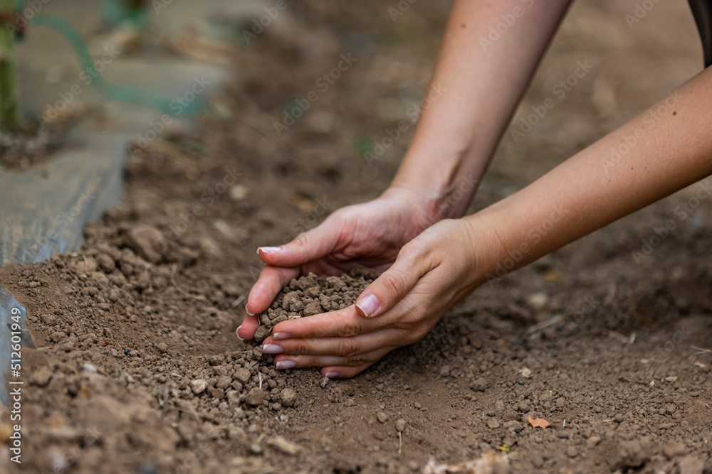 Hand holding fertile soil for plant to growing in nature concept. Farmer woman hand holding soil background and copy space, Concept of Agriculture, gardening, Save World, Earth day Hand holding fertile soil for plant to growing in nature concept. Farmer woman hand holding soil background and copy space, Concept of Agriculture, gardening, Save World, Earth day
