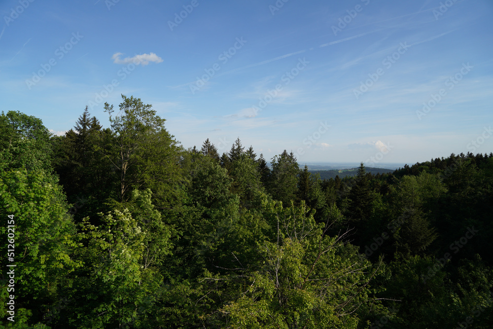 Landscape photos in the Bavarian Forest with fascinating clouds and blue sky