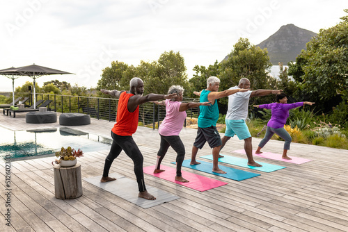 Multiracial senior friends practicing warrior 2 pose on mats in yard against plants and sky