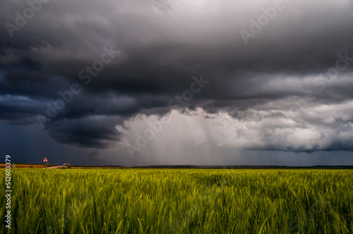Mar verde en Meseta de Castilla y León