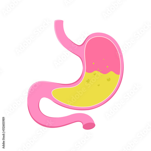 Stomach icon. Human internal organs symbol. Digestive system anatomy. Vector illustration on white background