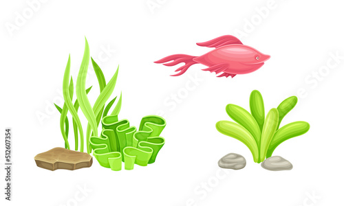 Underwater marine plants and fish set. Aquatic algae, aquarium flora and fauna cartoon vector illustration