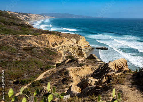 california coast at torrey pines state park in san diego