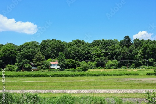 田園1