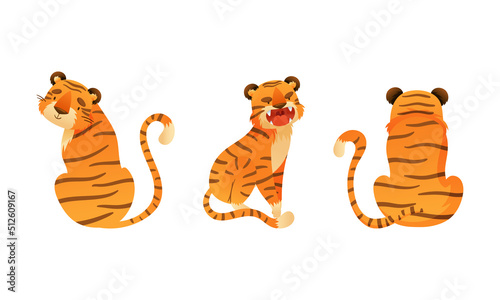 Cute tigers set. Back and side view of wild jungle predator animal cartoon vector illustration