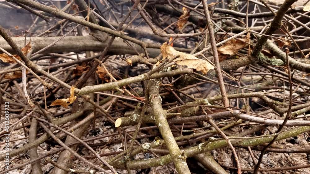 Close up of fire pit and slowly burning thin wood stick from dead tree branches and bushes. Close up of fire pit and slowly burning thin wood stick from dead tree branches and bushes.