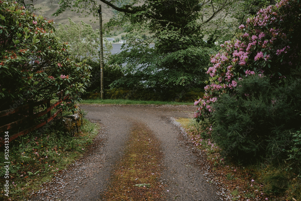 Naklejka premium path in the garden