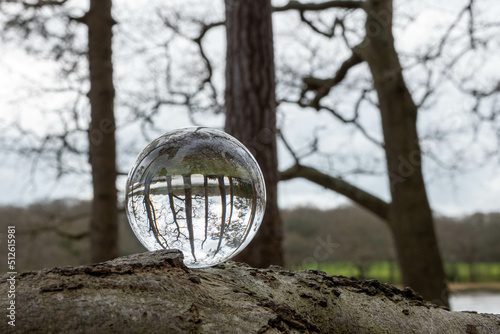 The River Hamble reflected upside down in a crystal ball balanced on a tree branch with the river and countryside blurred in the background