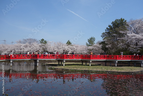 岩槻城　水掘　八ツ橋　埼玉県　さいたま市 photo