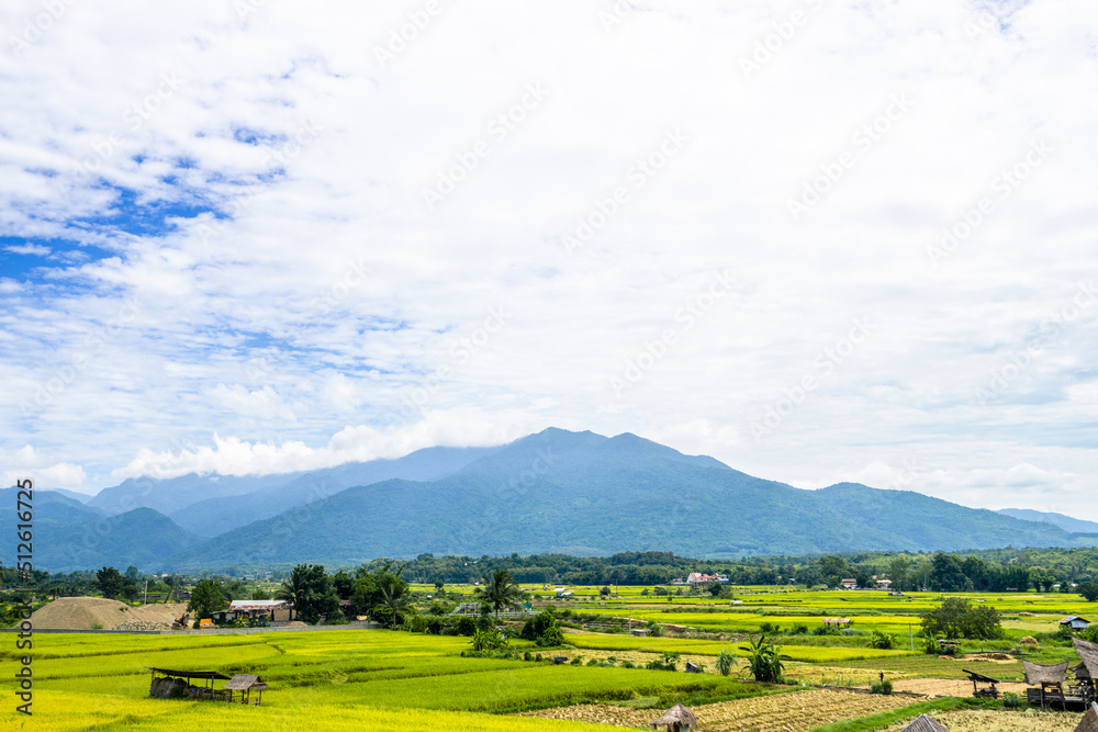 Beautiful scenic of rice field with local house and the mountain in the background Beautiful scenic of rice field with local house and the mountain in the background