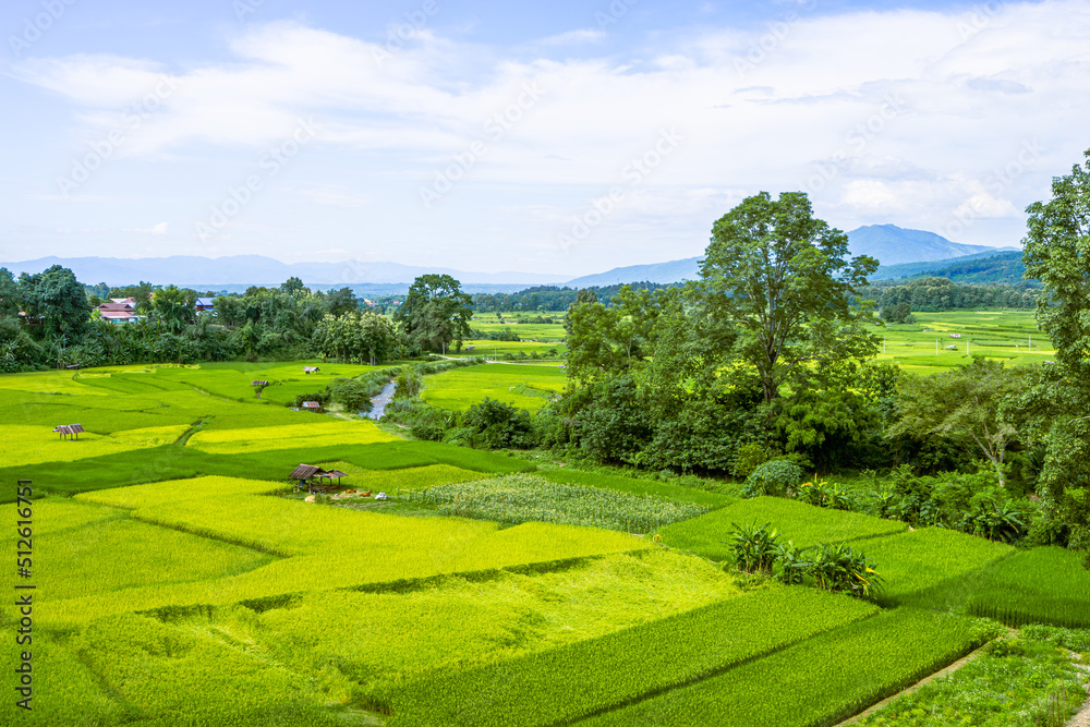 Beautiful scenic of rice field with local house and the mountain in the background Beautiful scenic of rice field with local house and the mountain in the background