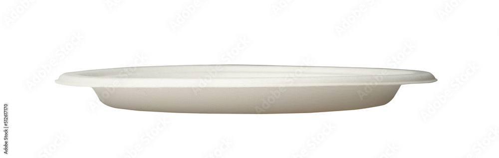 Paper Plate Isolated Paper Plate Isolated