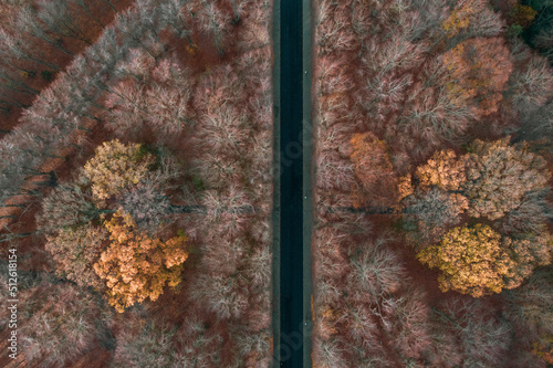 Aerial view of pildammsparken, park in the city of Malmo in sweden photo