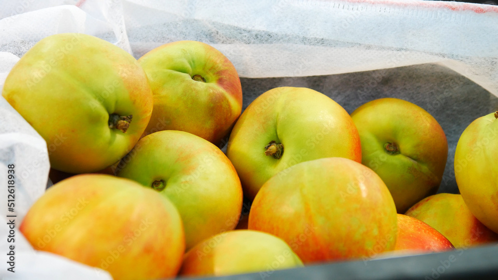 Close-up of a heap of beautiful ripe nectarines in a trading box Close-up of a heap of beautiful ripe nectarines in a trading box
