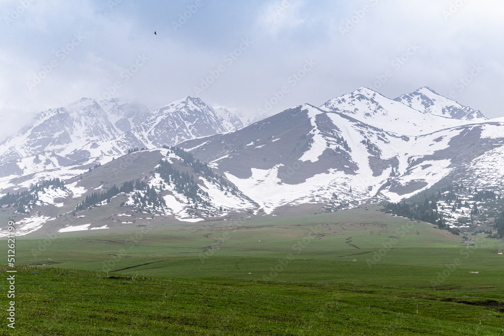 Snowy peaks, slopes of the Tien Shan mountains, Kyrgyzstan