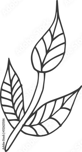 Hand drawn flower clipart design illustration