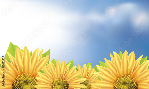 Vector background with large flower of sunflower