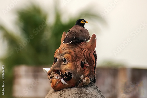 bird on a statue