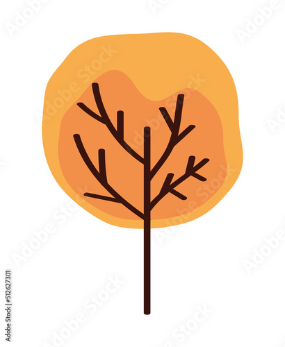 orange autumn season tree