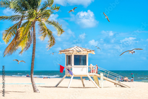Seafront beach promenade with palm trees on a sunny day in Fort Lauderdale with seagulls
