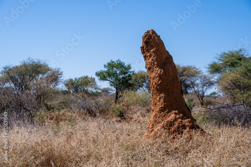 red Termite Hill - Namibia Africa photo