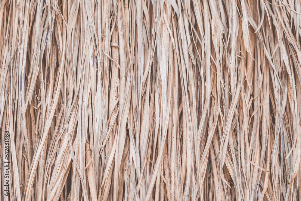 Long dry thin grass, agriculture harvest, pile of hay straw. Texture detail. Association brittle lifeless damage diseased hair. Thatched background wallpaper. Shades of gray brown more tone in stock