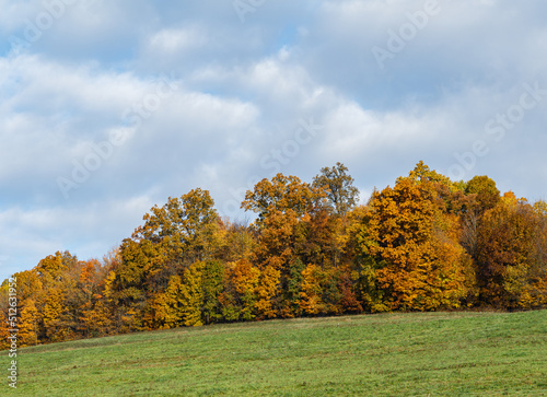 Orange and Yellow trees in Autumn on a hill under a cloudy sky | Amish country, Ohio
