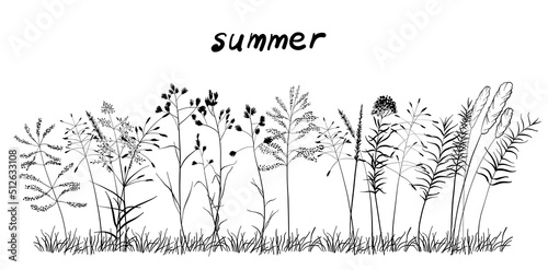 A cute bouquet of blades of grass, a summer collection of different herbs . On a white background.