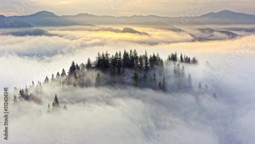 Wallpaper Mural Magical mountain forest covered by morning fog. Sun rays make their way through the clouds. Aerial. Torontodigital.ca