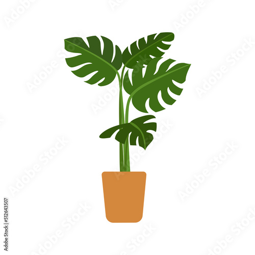 Monstera growing in a pot. Indoor green-leaf houseplant in planter. Flat vector illustration of a homeplant isolated on white background