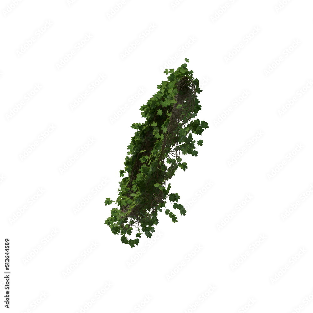 3D illustration of a realistic Ivy plant 3D illustration of a realistic Ivy plant