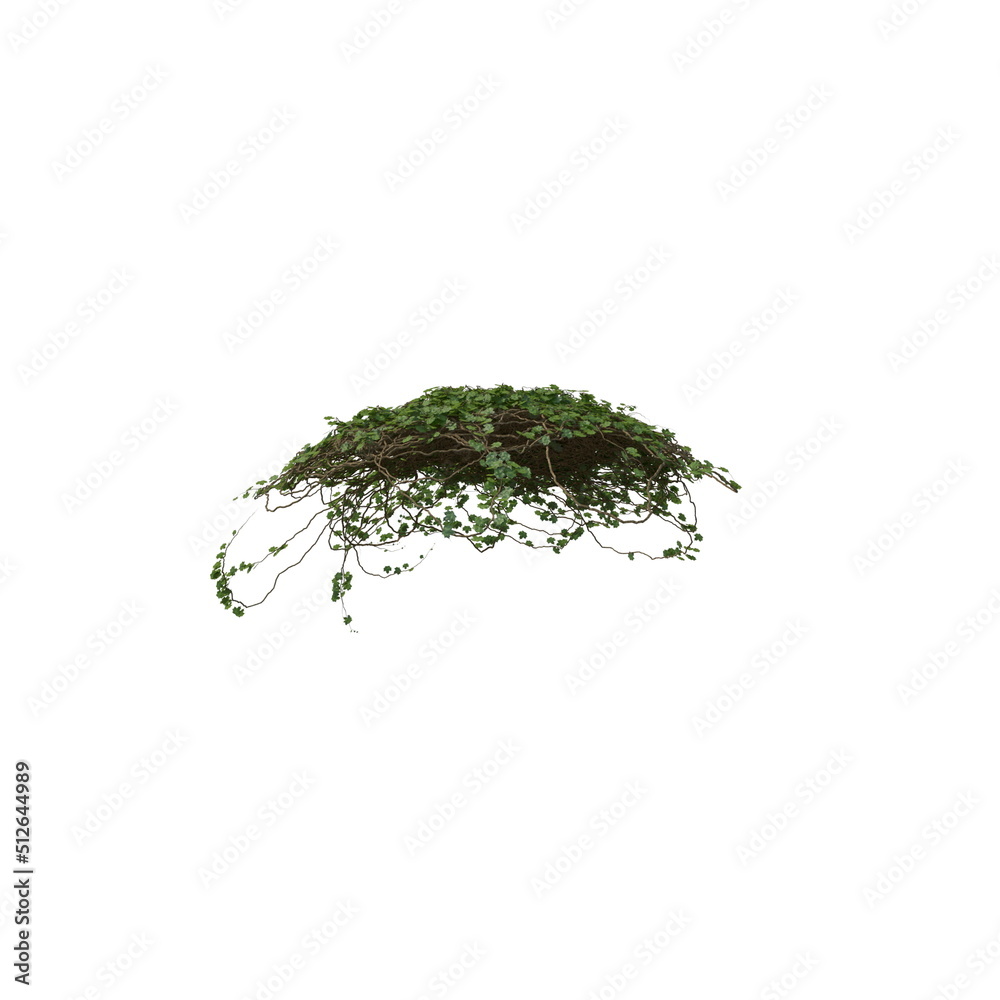 Fototapeta premium 3D illustration of a realistic Ivy plant