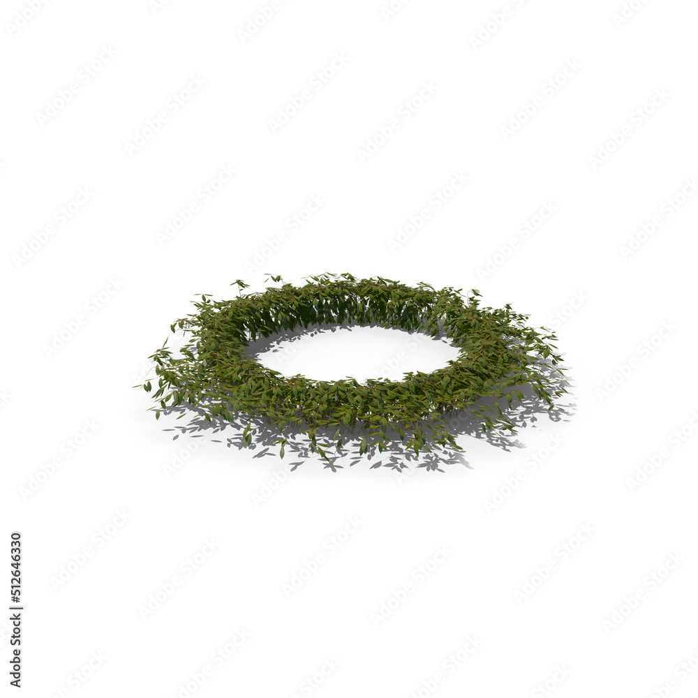 3D illustration of a realistic Ivy plant 3D illustration of a realistic Ivy plant