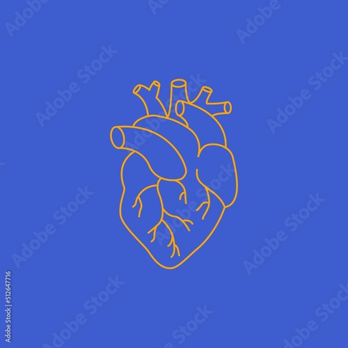 Heart shape icon. Anatomy heart yellow outline symbol isolated on blue background, hand drawn art. Vector illustration